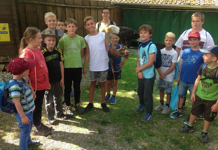 Foto mit Weißkopfadler