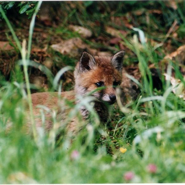 Bild von Karl-Dieter Bitzer