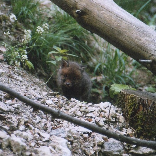 Bild von Karl-Dieter Bitzer