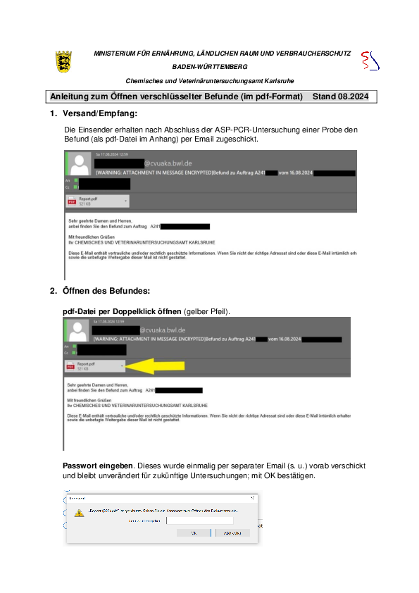 Anleitung zum Öffnen verschlüsselter Befunde pdf-preview