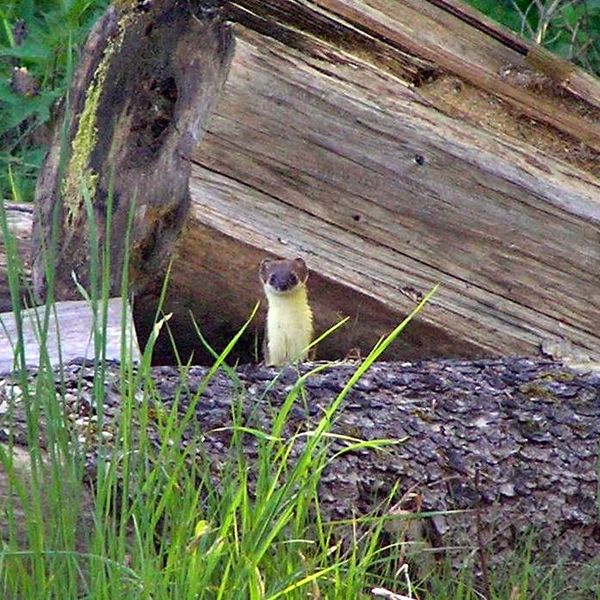 Bild von Karl-Dieter Bitzer