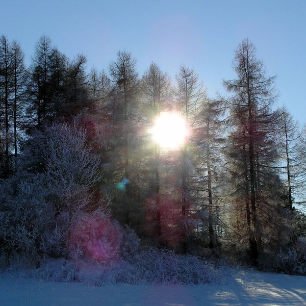 Bild von Karl-Dieter Bitzer