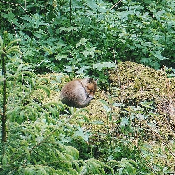 Bild von Karl-Dieter Bitzer